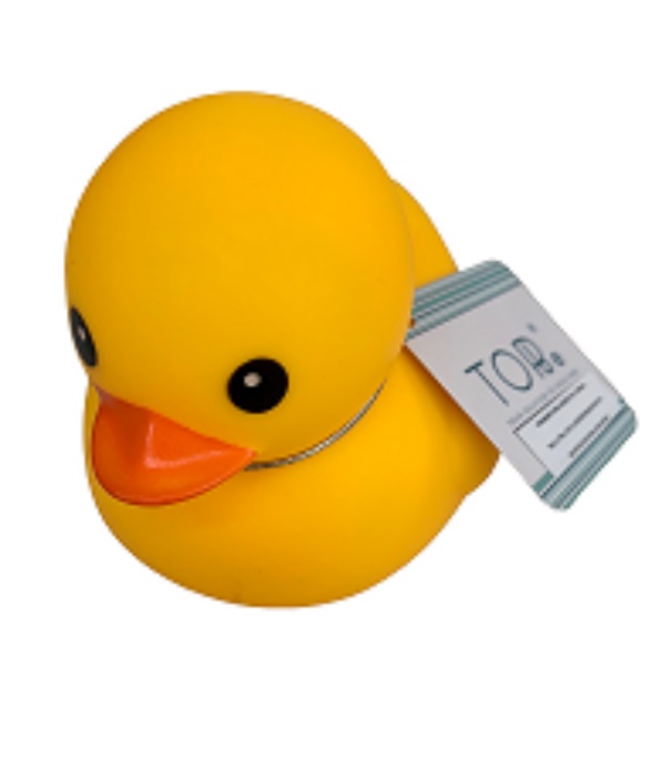 duck